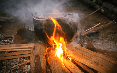 Sabiduría de los Abuelos: Enseñanzas que Sanan el Alma desde la Amazonía