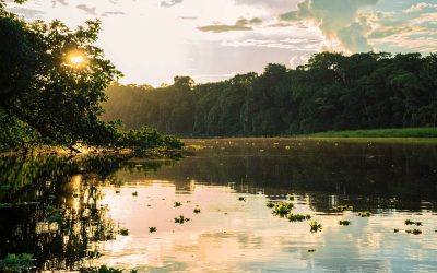 5 Razones para Visitar Islawn Rumi en la Amazonía Ecuatoriana