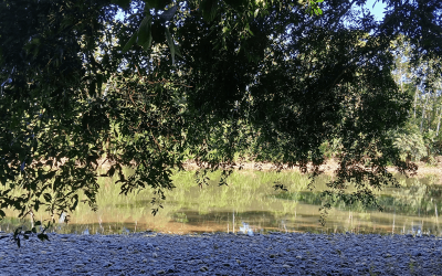 ¿Qué es el ecoturismo espiritual?