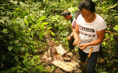 🌿 Turismo comunitario en la Amazonía ecuatoriana